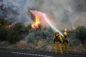 Firefighters battle the Blue Cut Fire off of Highway 2 near Wrightwood, California, USA. EPA/MIKE NELSON