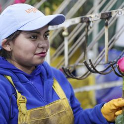 El viaje de millones de rosas de Ecuador: de los Andes al mundo para celebrar San Valentín