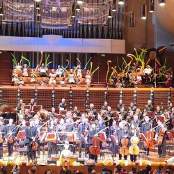 WhatsApp Image 2025-11-01 at 8.31.29 PM